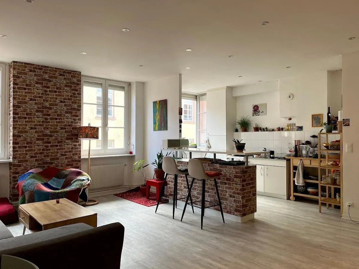 Cozy Bright Apartment Croix Roussien Lyon