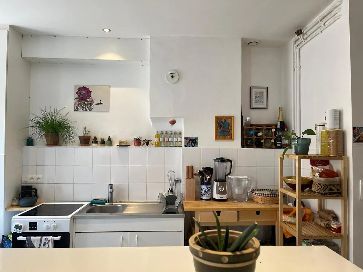 Cozy Bright Apartment Croix Roussien Lyon