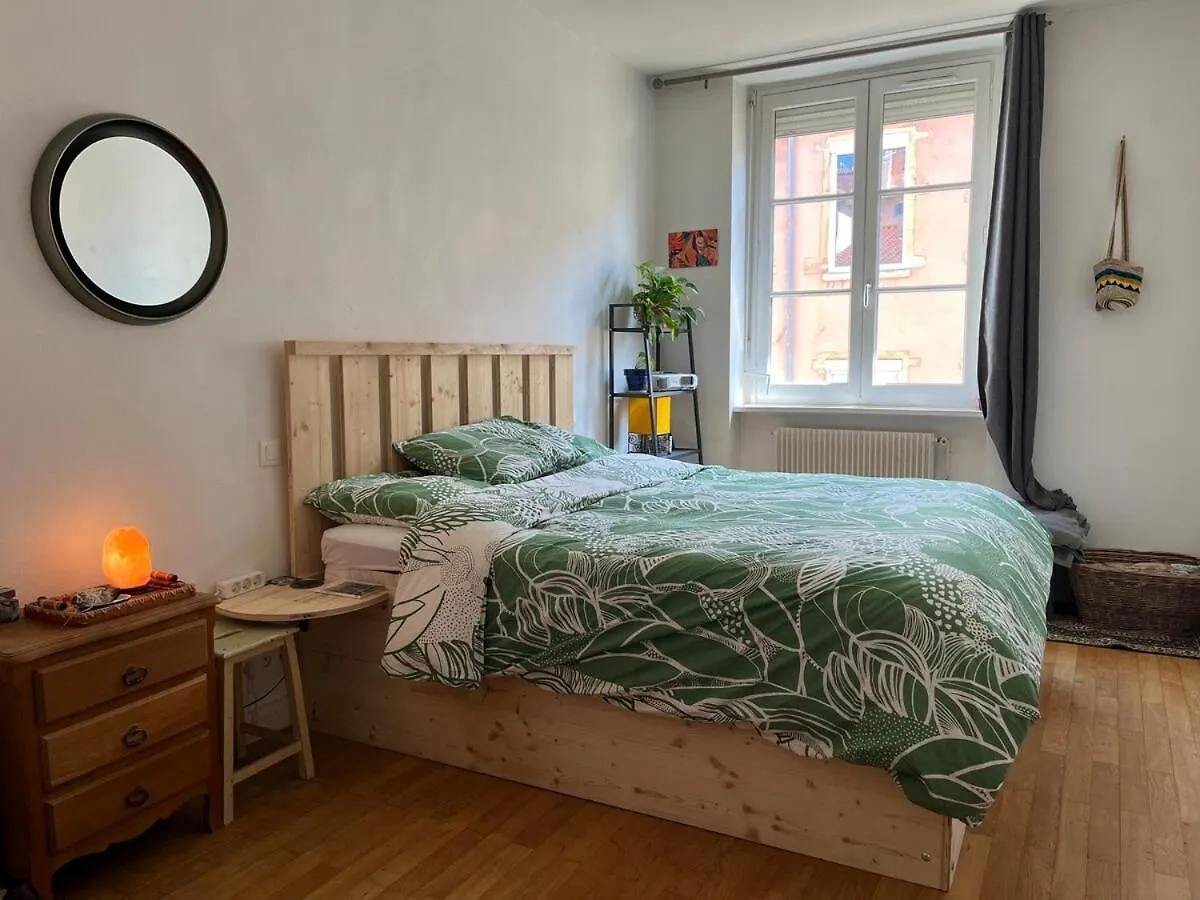 Cozy Bright Apartment Croix Roussien Lyon Franciaország